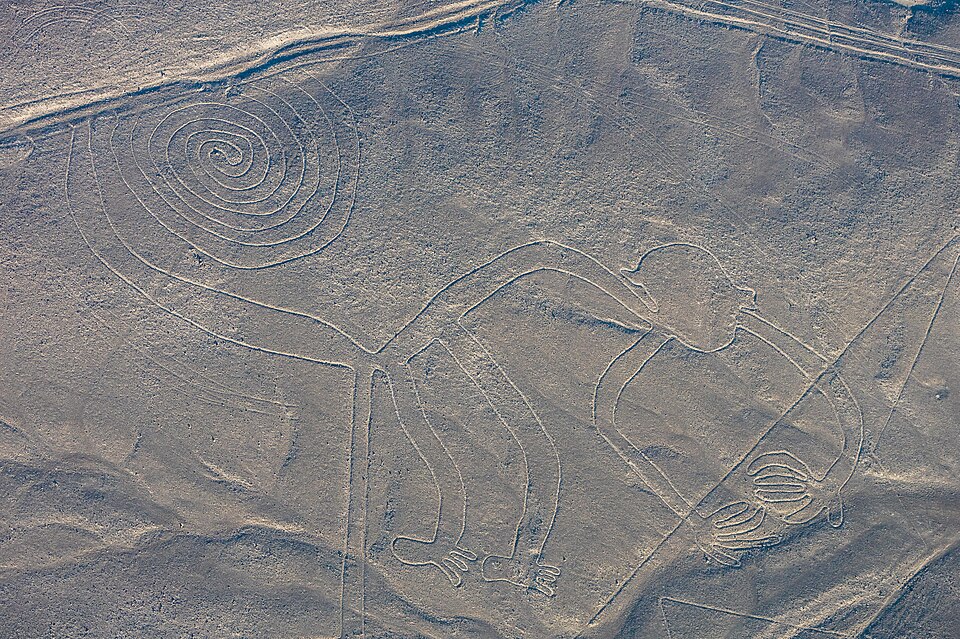 Geoglifo del Mono con cola en espiral en las Líneas de Nazca